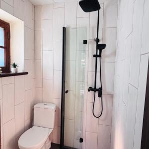 a bathroom with a shower with a toilet and a shower at Võsula Tornimaja apartments in Võsu