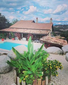 a house with a swimming pool in front of it at Au Barthas in Caylus