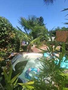a swimming pool in a yard with palm trees at le moodeng in Villampuy
