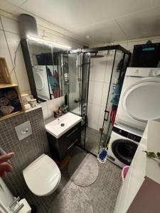 a bathroom with a shower and a toilet and a sink at Buktarommet in Alta