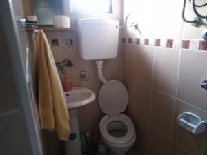 a small bathroom with a toilet and a sink at Dukii in Vrnjci +9 photos