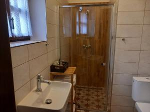 a bathroom with a shower and a sink at Lotrinský Apartmány in Hodruša +85 photos