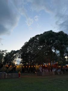 a large tree with lights in a park at Taverna e liqenit in Shtoji i Vjetër