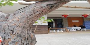 a close up of the trunk of a tree at โรงแรมเดย์โฮเต็ล in Khon Kaen +19 photos