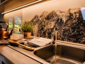 a kitchen sink with a tea kettle and a plant at Haus Alpenkönig Exclusive Apartments near Stubai Glacier in Neustift im Stubaital