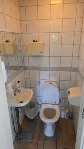 a bathroom with a toilet and a sink at Fengselet Gjestegård in Leira