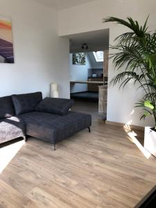 a living room with a couch and a plant at Spacious apartment in an authentic Mansion in Brussels +12 photos