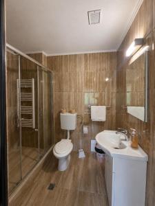 a bathroom with a toilet and a sink at Pensiunea Mirela Bears Cave in Chişcău