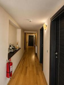 a hallway with a fire hydrant in a room at Pensiunea Mirela Bears Cave in Chişcău