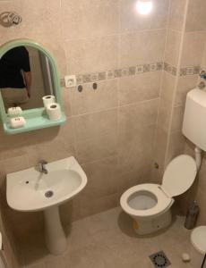 a bathroom with a white toilet and a sink at Vila Nikolic in Lastva