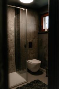 a bathroom with a toilet and a glass shower at Flumen MIkoszewo in Skorka