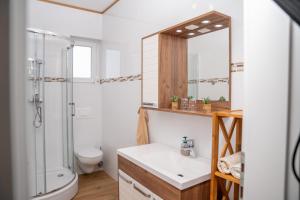 a bathroom with a shower and a toilet and a sink at Beachfront Reiterer Villa V1 with Jacuzzi 30 meters from the Beach - CROWONDER LUXURY RENT in Privlaka +18 photos