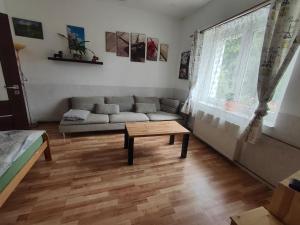 a living room with a couch and a table at Apartmány u koní in Děkov +34 photos