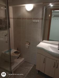 a bathroom with a shower and a toilet and a sink at Ferienwohnung Fuchsbau in Werne an der Lippe +10 photos