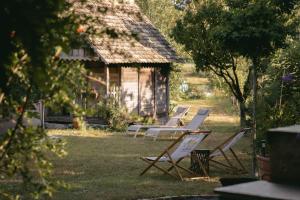 a group of lounge chairs and a table in front of a building at Tradicionalna Kuća Biljkinog oca in Lug