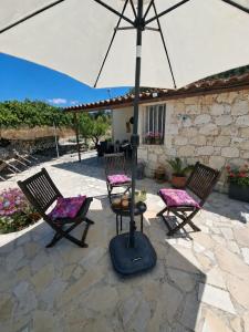 two chairs and an umbrella on a patio at ANDRIA in Peristerona