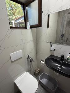 a small bathroom with a sink and a toilet at Velipoja Guest House 1 in Velipojë +6 photos