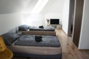 two beds sitting in a room with a television at Termál Vendégház in Leányfalu