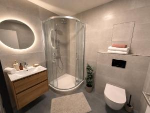 a bathroom with a shower and a toilet and a sink at Veleslaveenka - Spacious Apartment in Pilsen Old Town in Pilsen