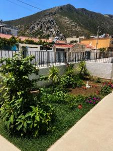 a garden with plants and flowers in front of a fence at Melody's Room in Borsh