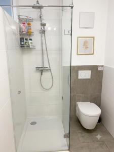 a bathroom with a shower and a toilet at Wohnen im Grünen - Landidylle mit Komfort Nähe Linz in Pregarten