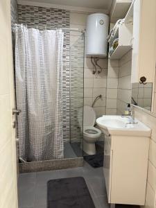 a bathroom with a shower with a toilet and a sink at Deluxe apartment Amar in Sarajevo +23 photos