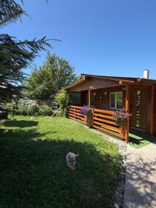 a dog sitting in the grass in front of a house at Casuta Rodi in Gura Negri