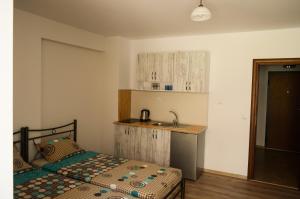 a bedroom with a bed and a sink in it at Main Street Apartment in Sandanski +12 photos