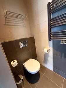 a bathroom with a toilet and two rolls of toilet paper at Hotel SKØL in Strassen +5 photos
