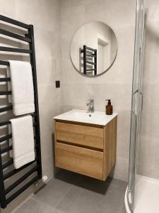 a bathroom with a sink and a mirror at Veleslaveenka - Spacious Apartment in Pilsen Old Town in Pilsen