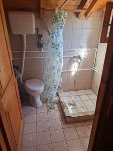 a bathroom with a toilet and a shower with a shower curtain at Mateva vikendica in Berane