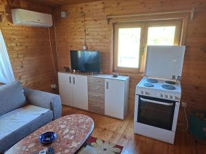 a living room with a stove and a couch and a tv at Mateva vikendica in Berane