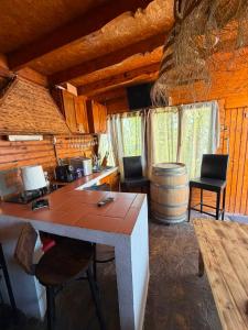 a kitchen with a table and chairs in a cabin at Casa Doros in Eforie Sud