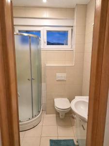 a bathroom with a shower and a toilet and a sink at Apartment Gonzales in Mostar