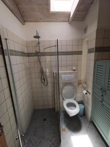 a bathroom with a toilet and a blue door at הקן לציפורים נודדות in Rosh Pinna +12 photos