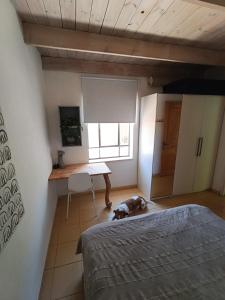 a dog laying on the floor in a bedroom at הקן לציפורים נודדות in Rosh Pinna