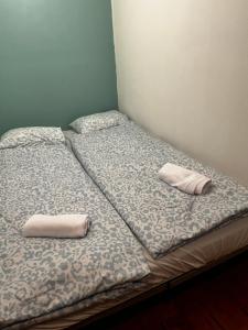 two beds sitting next to each other in a room at AH-REMINI GARDEN Home in Siófok +10 photos