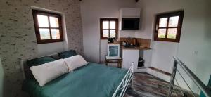 a bedroom with a bed in a room with windows at Tour Médiévale Unesco in Albi