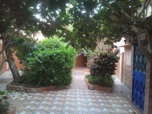a courtyard with trees and bushes and a walkway at Tamraght banana house in Agadir