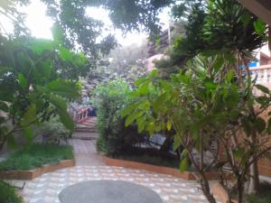 a garden with trees and a stone walkway at Tamraght banana house in Agadir +2 photos