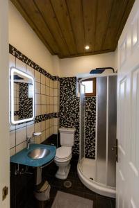 a bathroom with a toilet and a sink and a shower at Village Inn in Ano Chora