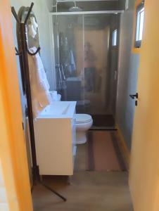 a bathroom with a toilet and a shower and a sink at Casa dos Cortinhais 2 in Oliveira de Frades +5 photos