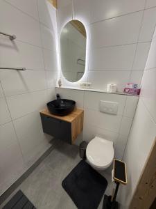 a bathroom with a toilet and a sink and a mirror at Apartment inn Austria in Pfunds +8 photos