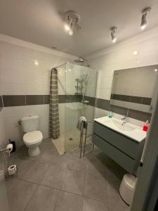 a bathroom with a toilet and a sink and a shower at Les Palmiers in Millau
