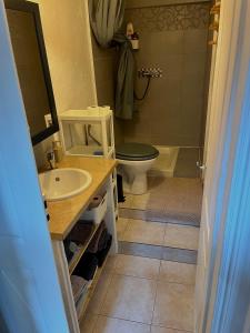 a bathroom with a toilet and a sink at Charmant in Saint-Martin-Vésubie