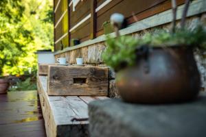 a wooden bench with potted plants on top of it at Chalupa 47 in Hřensko