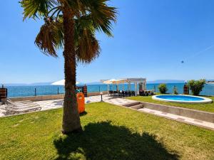 a palm tree in the grass next to a swimming pool at Guest House Costa 1 in Karianí
