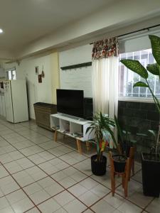 a living room with a flat screen tv and plants at Monoambiente Osvaldo in Neuquén