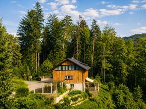 a wooden house in the middle of a forest at Apartment A&A in Niederdorf