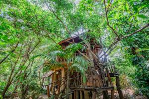 a tree house in the middle of the forest at Dudley Nature Resort in Habarana